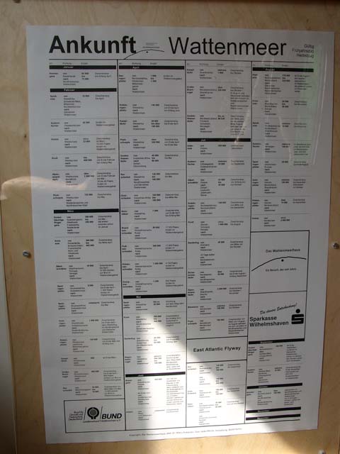 Borkum 03 - 21.jpg